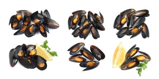 Image of Set with tasty cooked mussels on white background, top view. Banner design