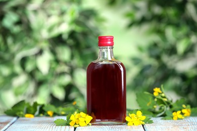 Photo of Bottle of celandine tincture and plant on white wooden table outdoors