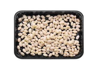 Photo of Plastic tray with sprouted kidney beans isolated on white, top view