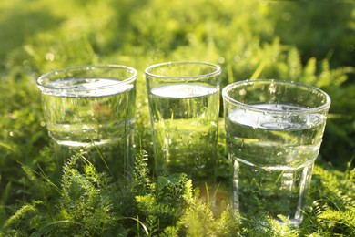 Glasses of fresh water on green grass outdoors