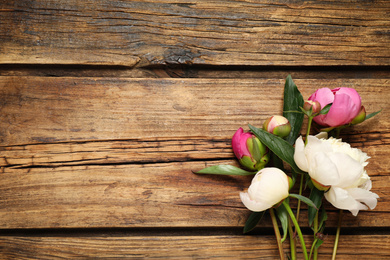 Photo of Beautiful peonies on wooden background, flat lay. Space for text