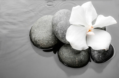 Stones and orchid flower in water. Zen lifestyle