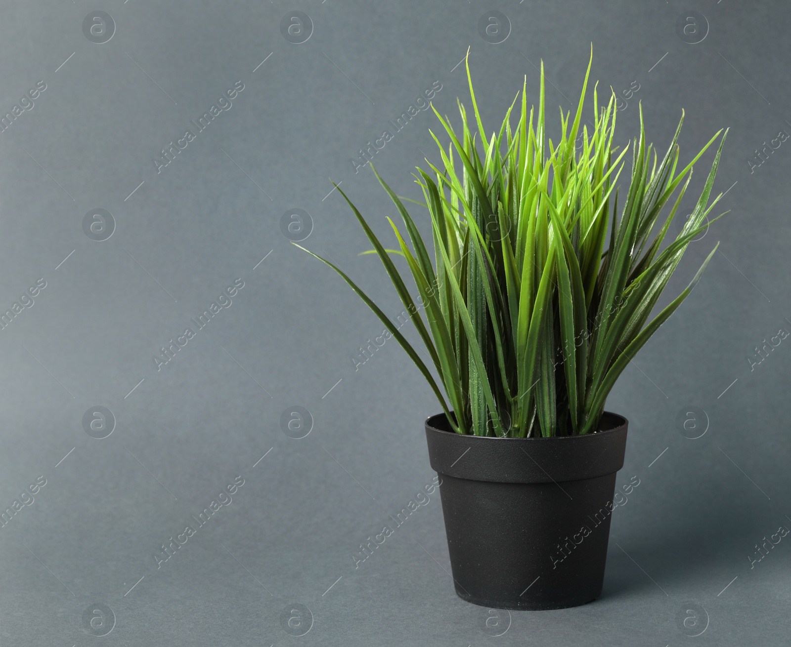 Photo of Beautiful artificial plant in flower pot on grey background, space for text