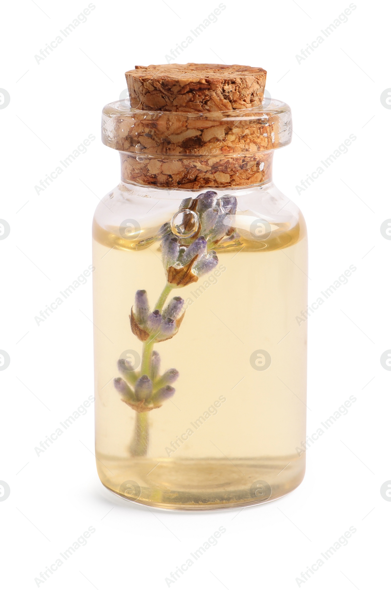 Photo of Bottle of lavender essential oil isolated on white
