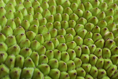 Photo of Delicious fresh exotic jackfruit as background, closeup