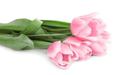 Photo of Beautiful pink spring tulips on white background