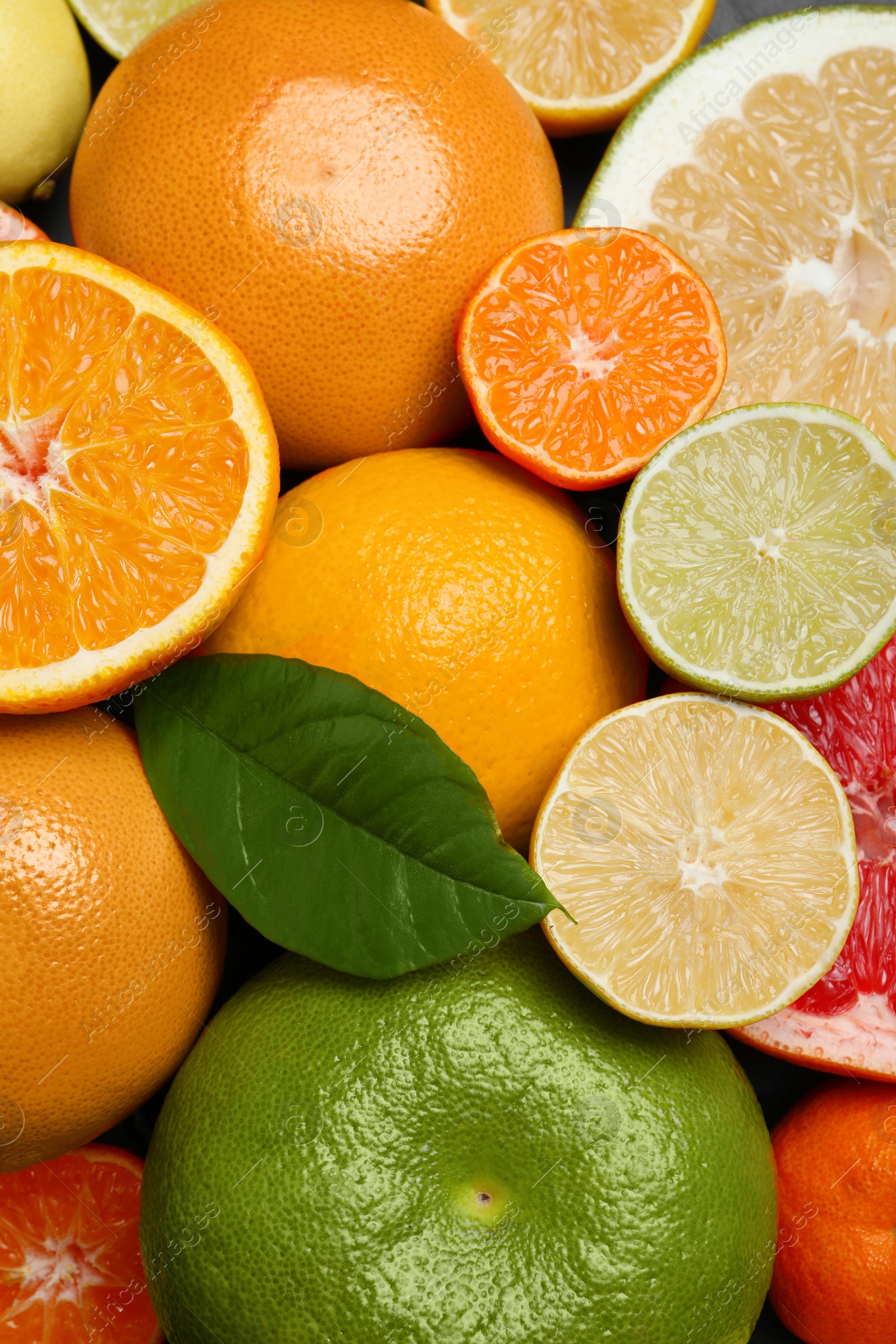 Photo of Different ripe citrus fruits with green leaf as background, top view