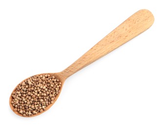 Dried coriander seeds with wooden spoon on white background, top view
