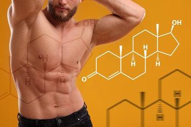 Muscular man and structural formula of testosterone on orange background, closeup