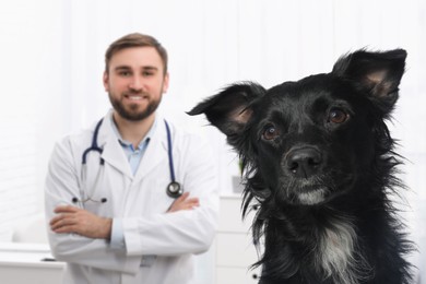 Image of Veterinarian doc with adorable dog in clinic