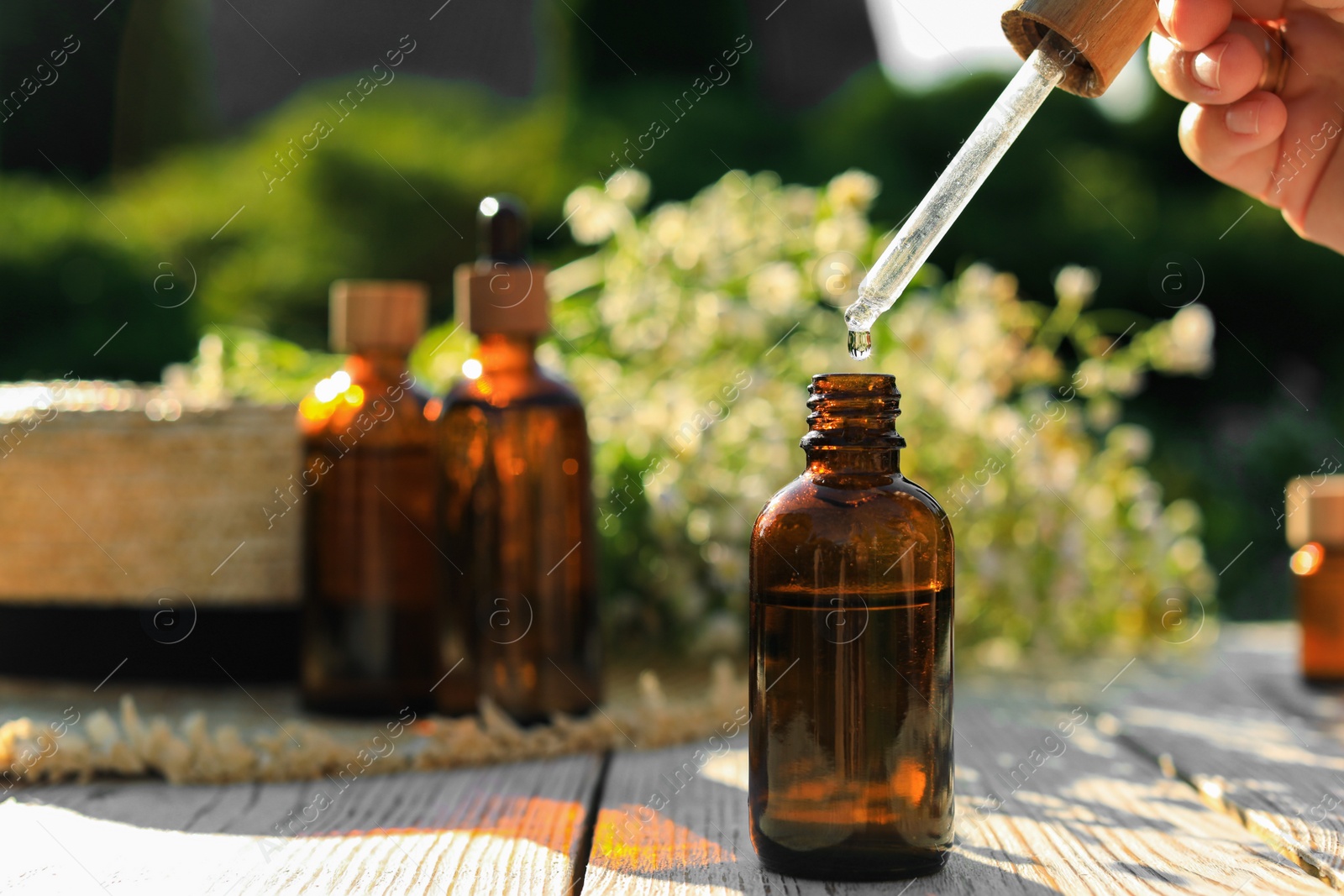 Photo of Woman dripping chamomile essential oil into bottle at white wooden table, closeup. Space for text