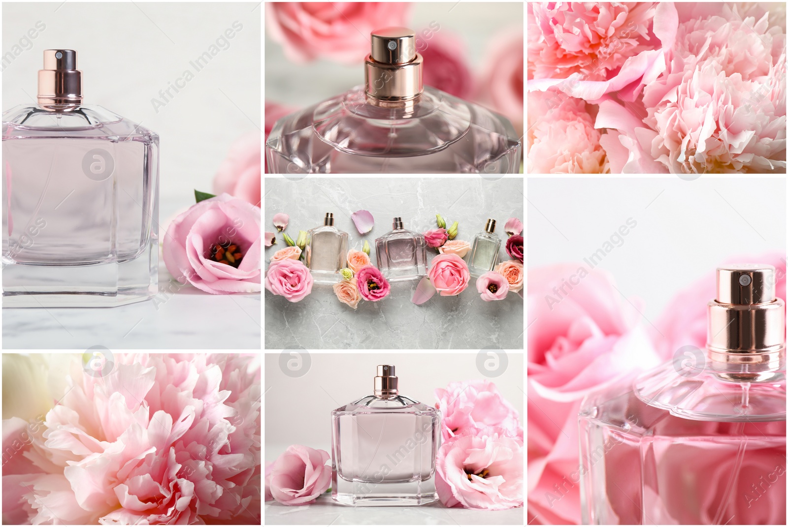 Image of Creative collage with photos of luxury perfume and beautiful flowers on color backgrounds 