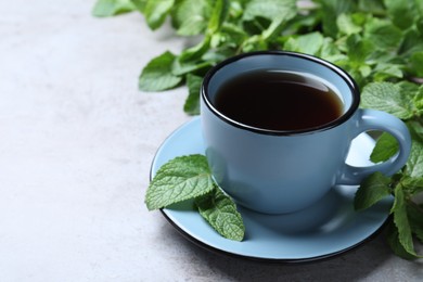 Photo of Cup with hot aromatic mint tea and fresh leaves on light grey table, closeup. Space for text