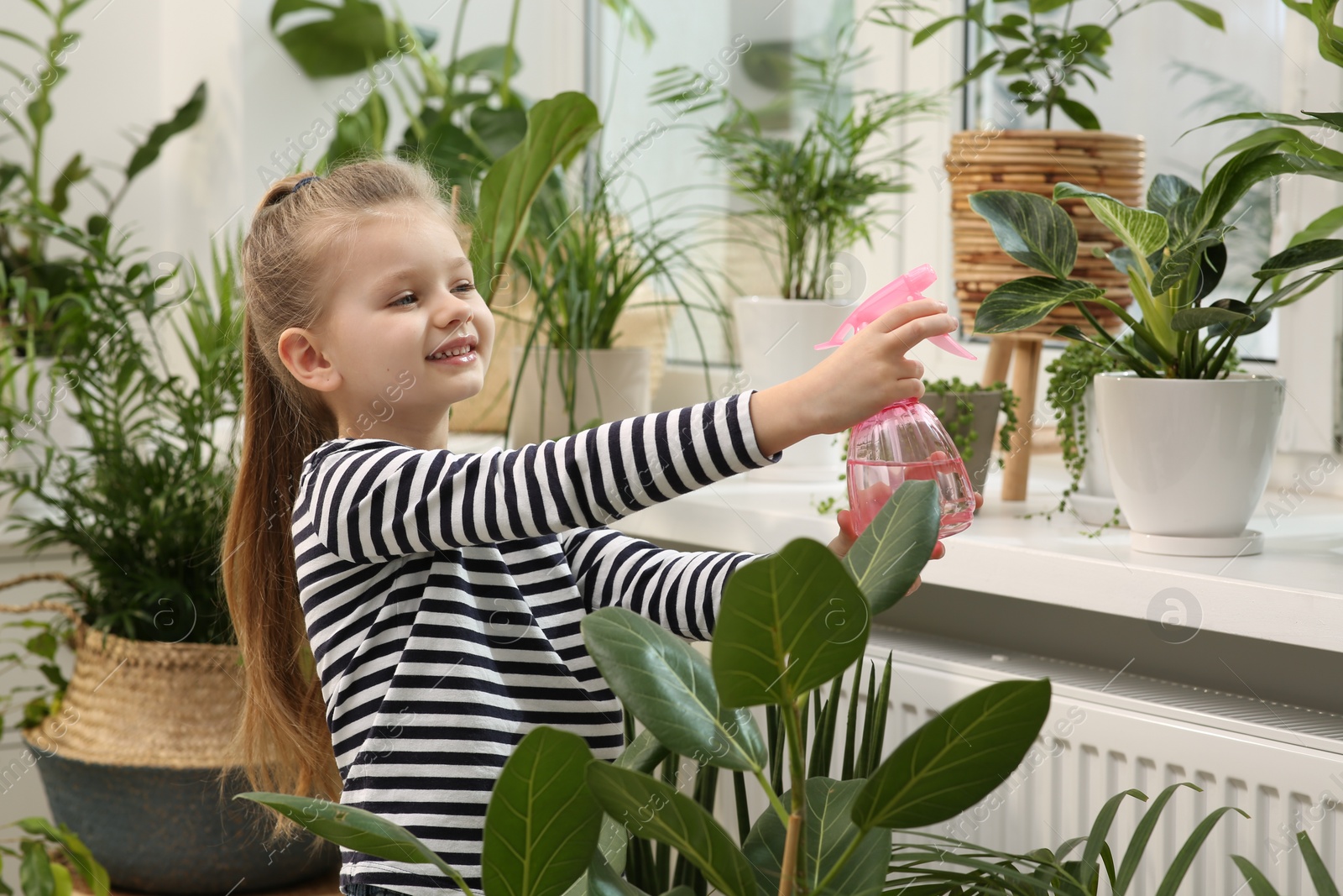 Photo of Cute little girl spraying beautiful green plant on windowsill at home. House decor