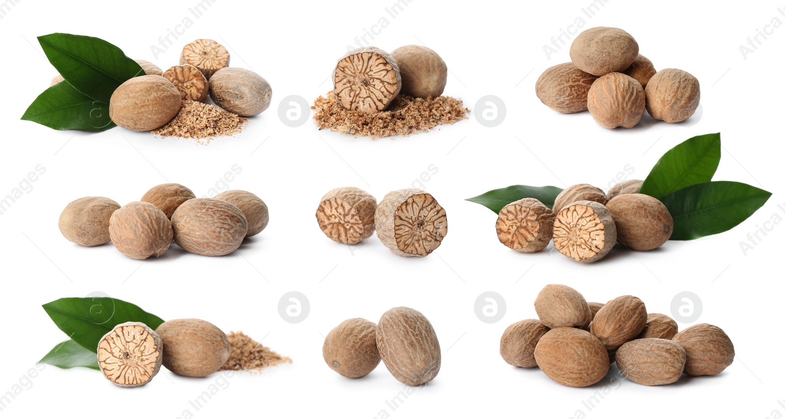 Image of Set with nutmeg seeds on white background. Banner design