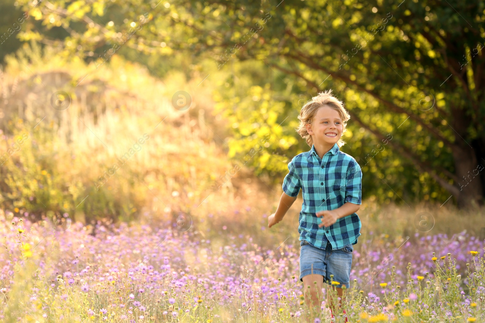 Photo of Cute little boy outdoors, space for text. Child spending time in nature