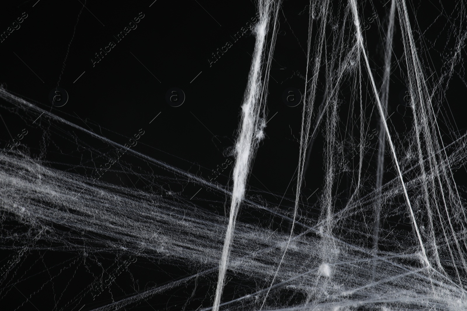 Photo of Creepy white cobweb on black background, closeup