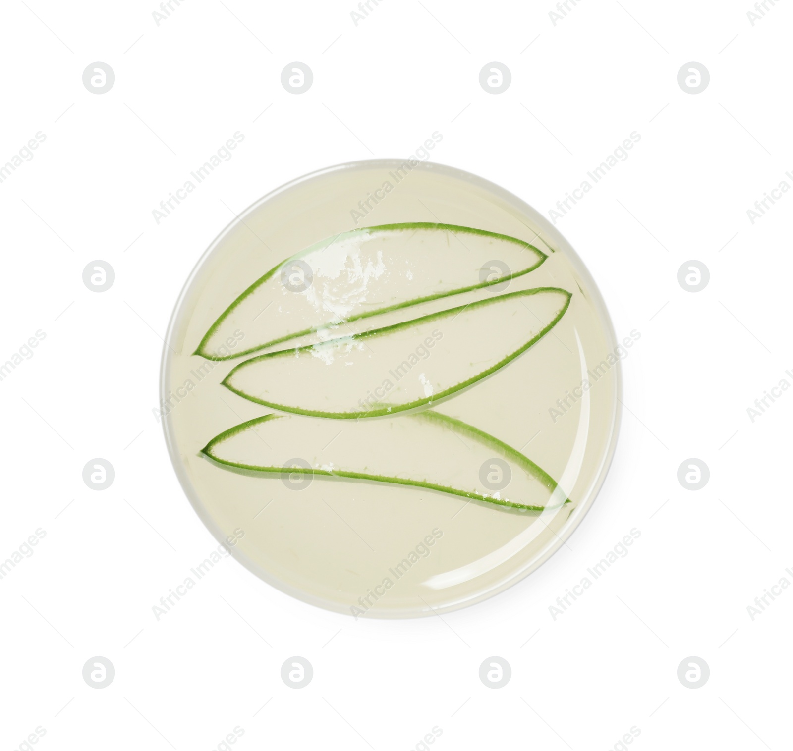 Photo of Tasty aloe juice and cut fresh leaves in glass isolated on white, top view