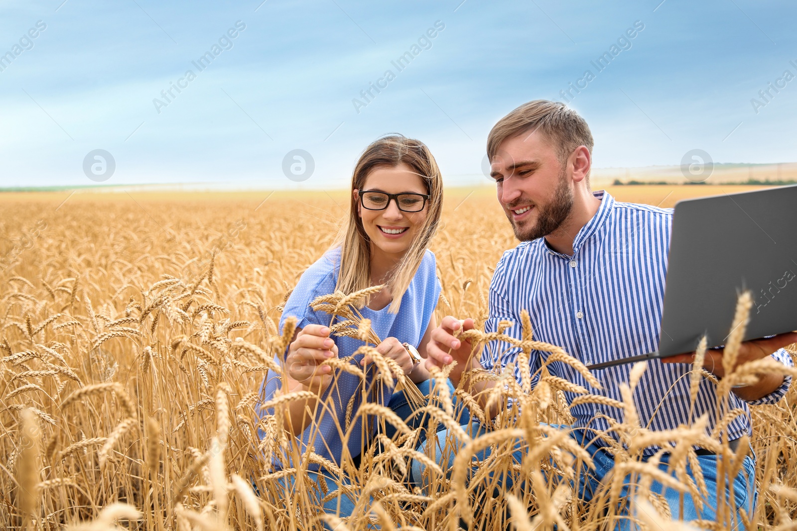 Photo of Young agronomists in grain field. Cereal farming