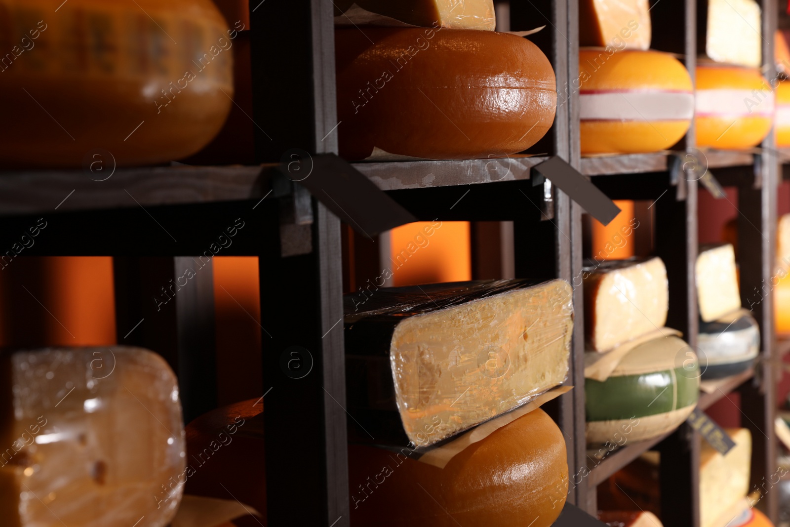 Photo of Different types of delicious cheeses on rack in store