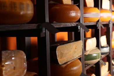 Different types of delicious cheeses on rack in store