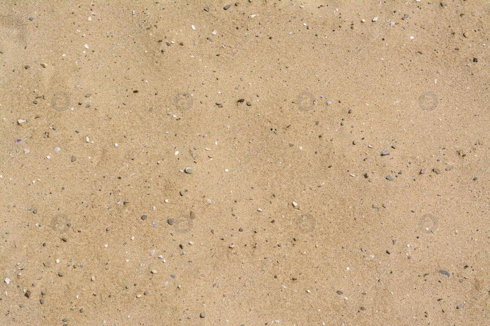 Photo of Texture of sandy beach as background, top view