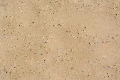 Photo of Texture of sandy beach as background, top view