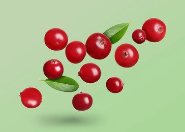Image of Delicious ripe cranberries and fresh leaves flying on pale light green background
