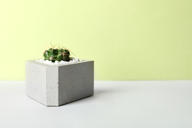 Photo of Beautiful succulent plant in stylish flowerpot on table against green background, space for text. Home decor