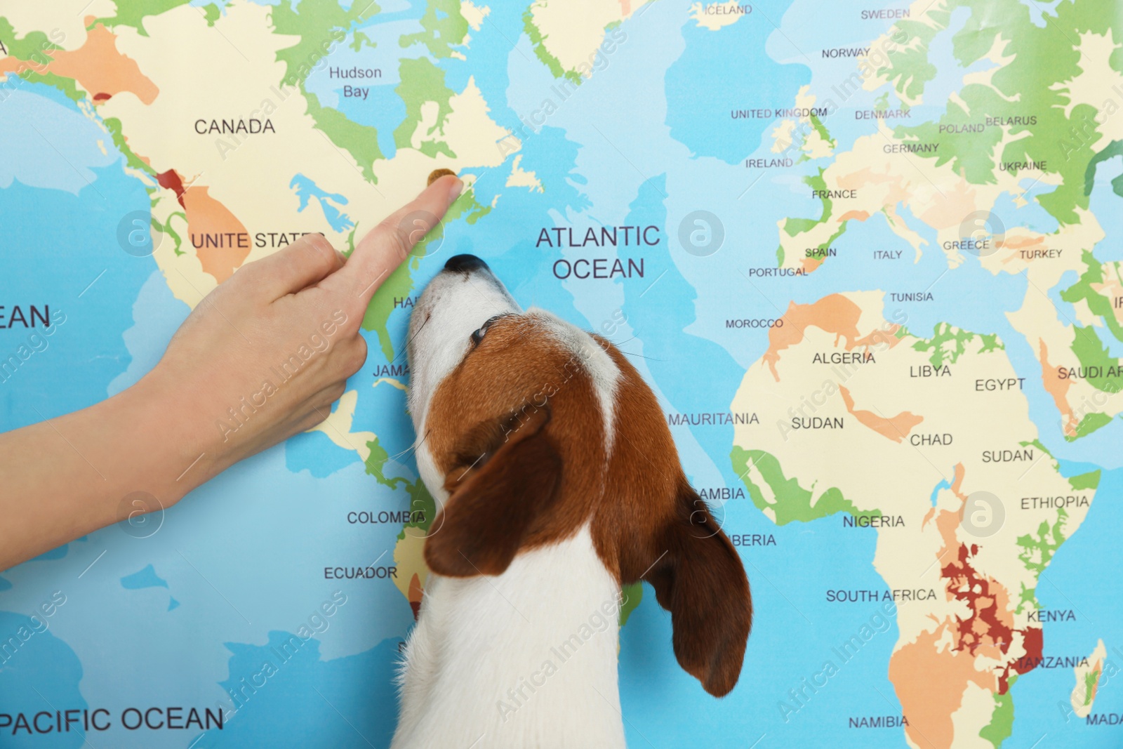 Photo of Woman with dog pointing at location on world map, closeup. Travel with pet concept