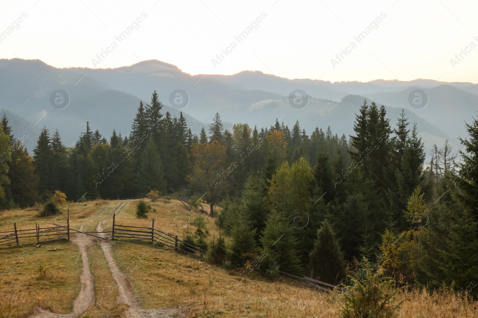 Photo of Picturesque view of mountain landscape with forest and wooden fence