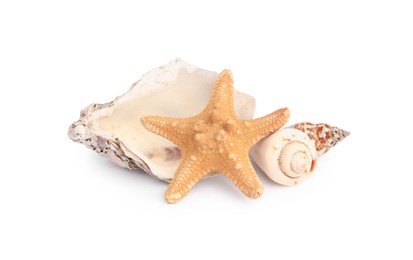 Photo of Beautiful sea star and shells isolated on white