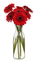 Photo of Bouquet of beautiful red gerbera flowers in glass vase on white background