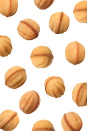 Many delicious nut shaped cookies with caramelized condensed milk falling on white background