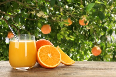 Image of Fresh orange juice on wooden table in orchard. Space for text