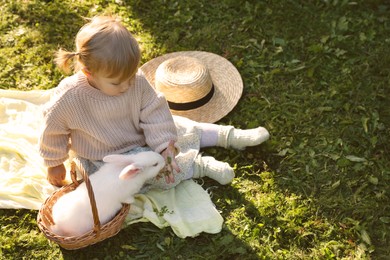 Photo of Cute little girl feeding adorable rabbit on green grass outdoors, above view and space for text