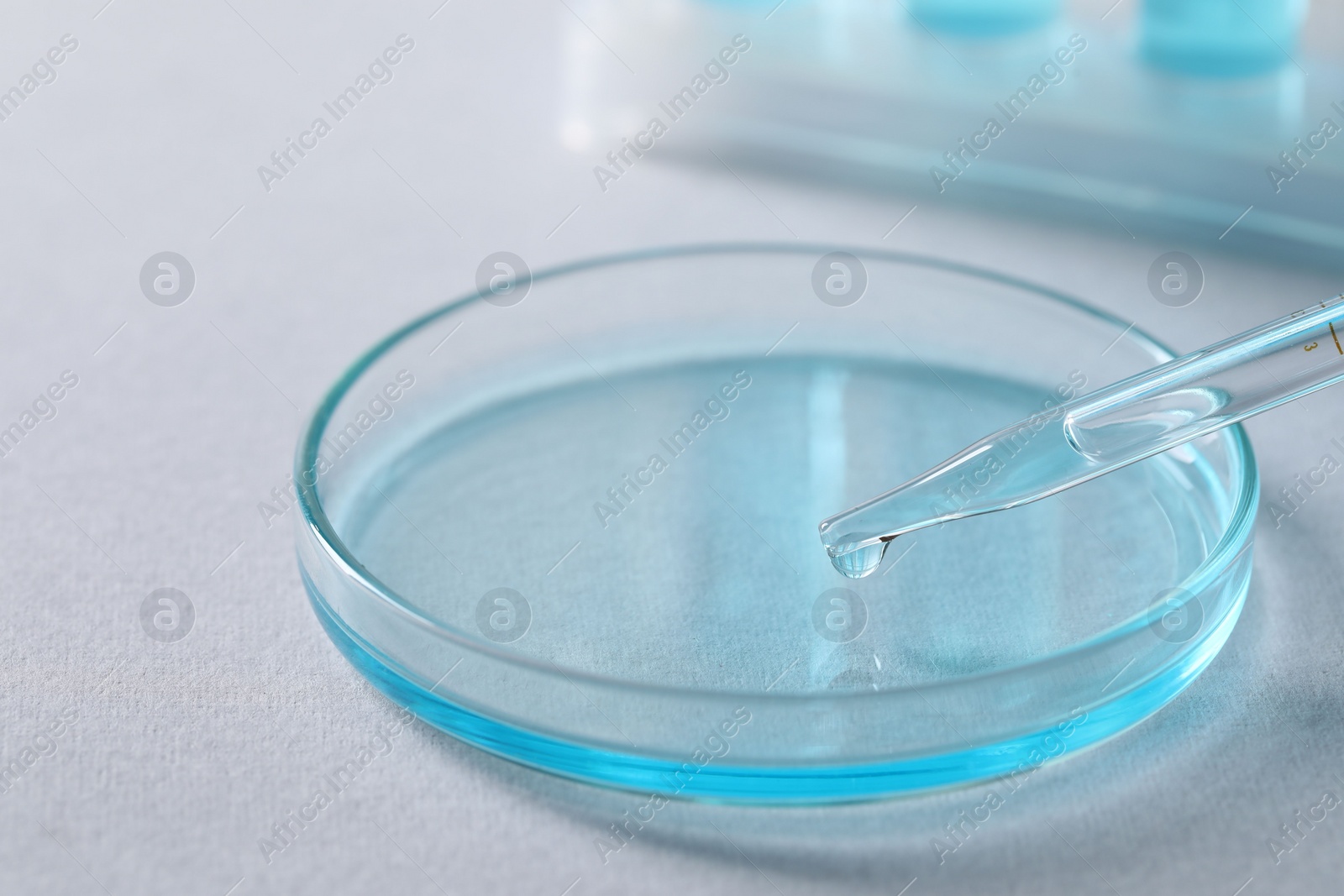 Photo of Dripping liquid from pipette into petri dish on light background, closeup. Laboratory analysis