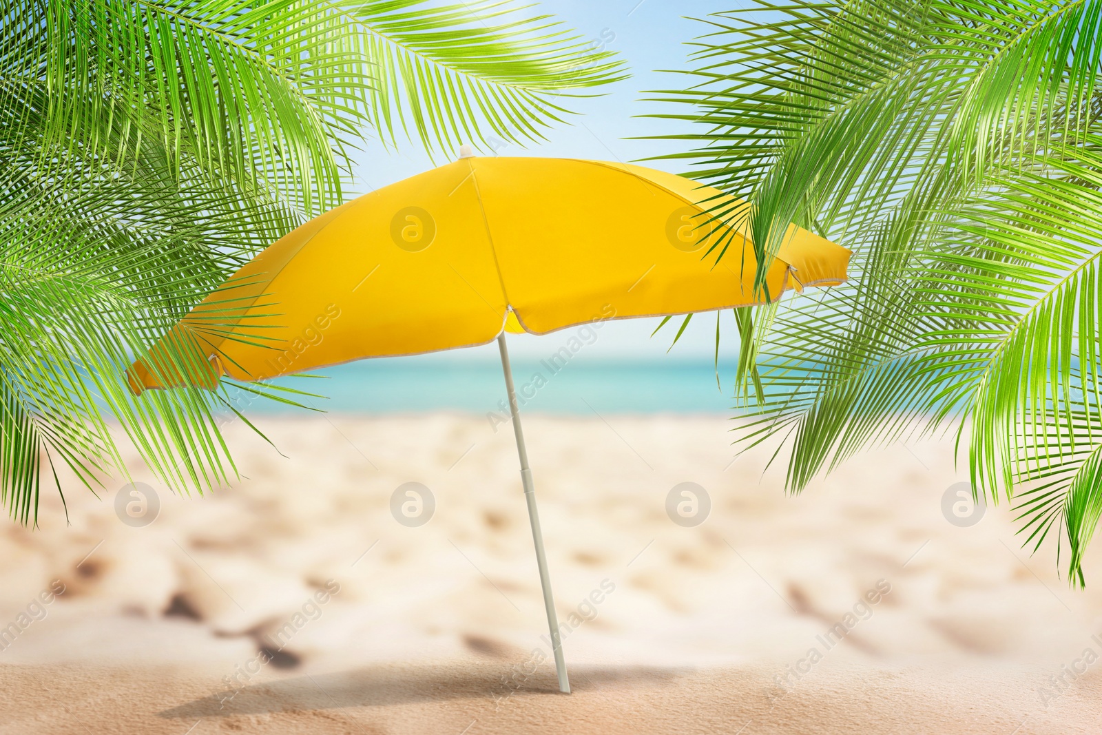 Image of Open big beach umbrella on sandy coast 