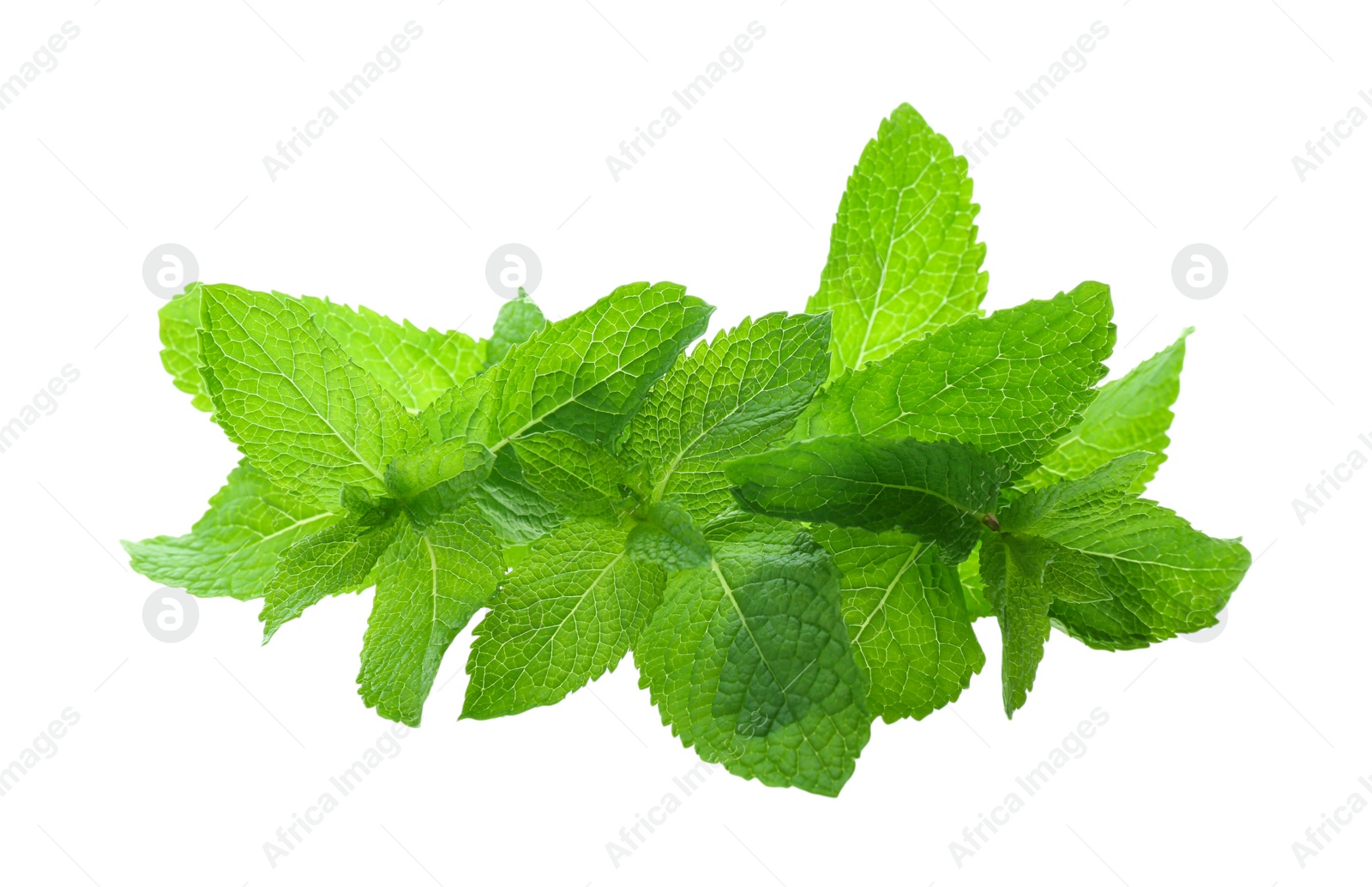 Photo of Fresh green mint leaves on white background