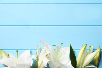 Photo of Beautiful white lily flowers on light blue wooden table, flat lay. Space for text