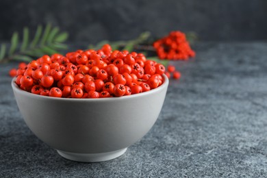 Fresh ripe rowan berries in bowl on grey table, space for text