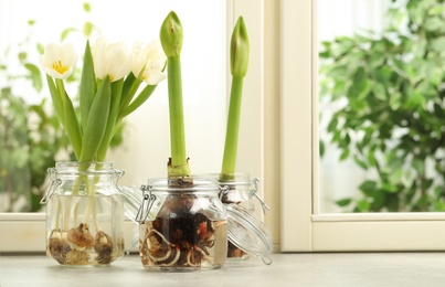 Photo of Different beautiful spring flowers in glassware on window sill. Space for text