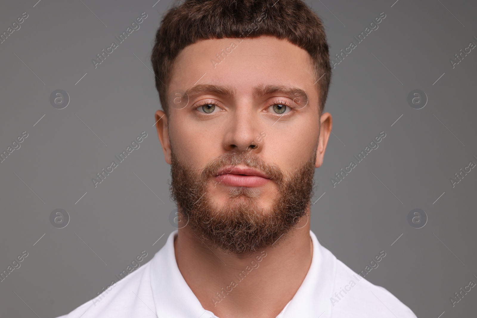 Photo of Portrait of handsome man on grey background