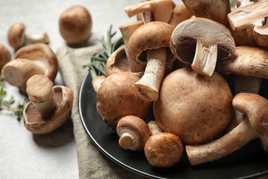 Photo of Fresh wild mushrooms on light grey table, closeup