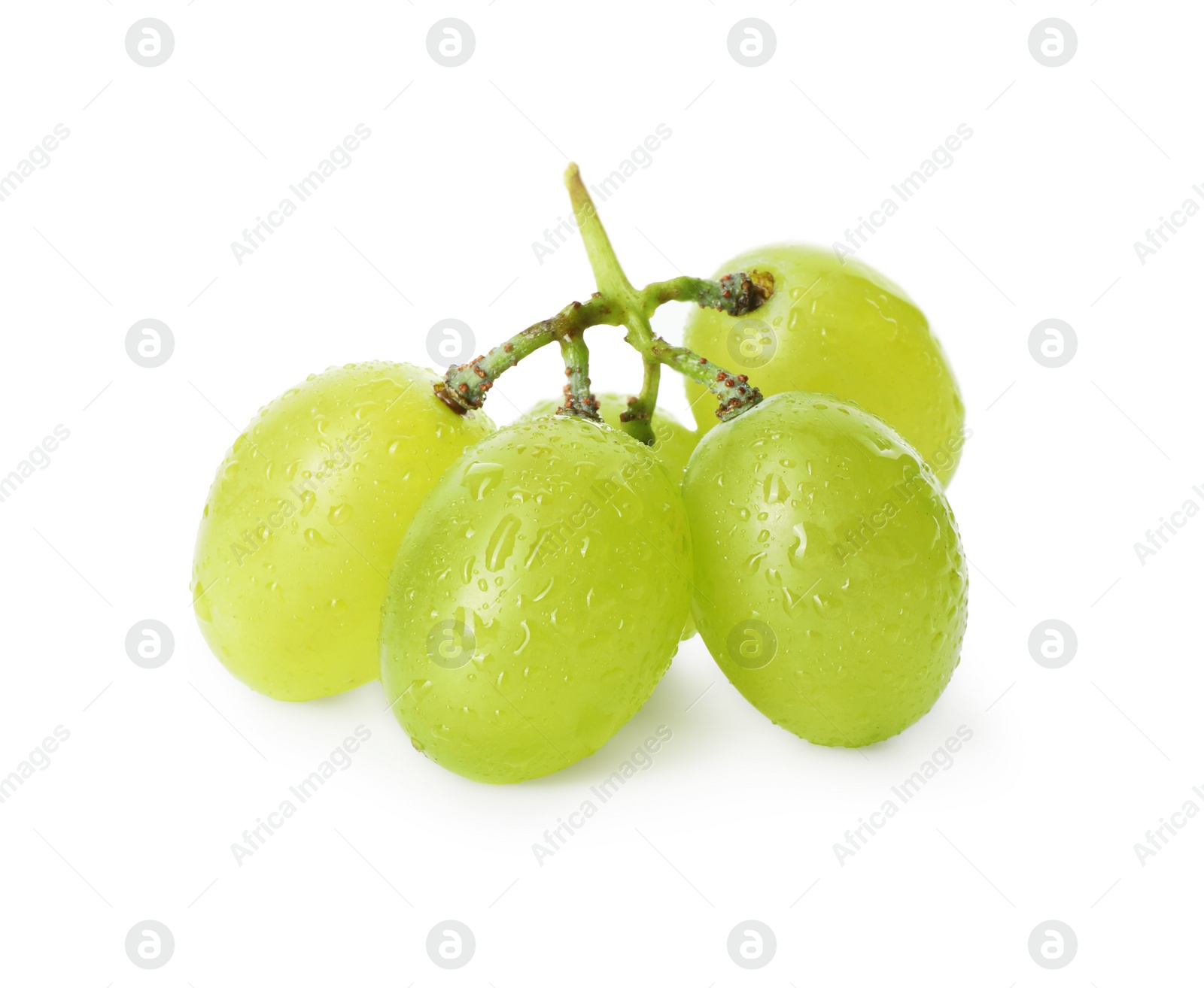 Photo of Fresh grapes with water drops isolated on white