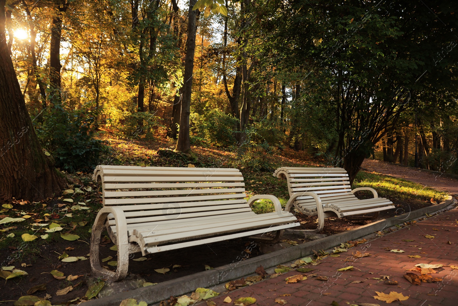 Photo of Beige wooden benches and yellowed trees in park