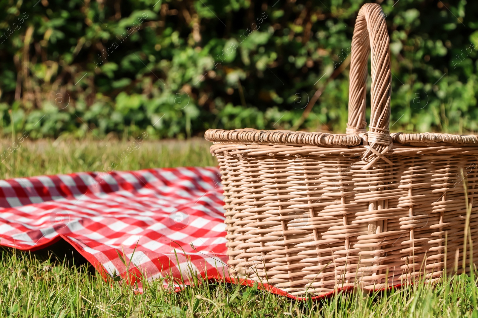 Photo of Picnic basket with checkered tablecloth on green grass outdoors, space for text