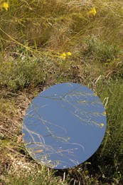 Spring atmosphere. Round mirror among grass on sunny day. Space for text