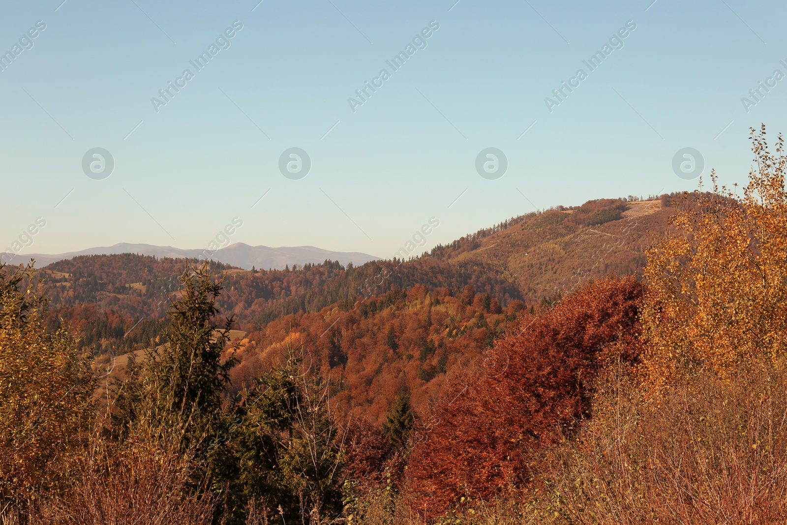 Photo of Beautiful mountain landscape with blue sky on sunny day