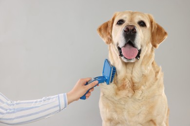 Photo of Woman brushing cute Labrador Retriever dog on grey background, closeup. Space for text